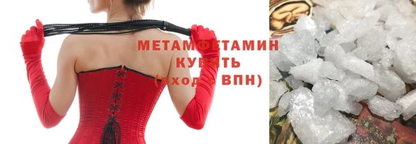 PSILOCYBIN Аркадак
