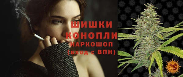 PSILOCYBIN Аркадак