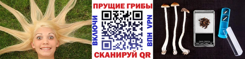 кракен рабочий сайт  Бирск  Галлюциногенные грибы ЛСД  купить наркотик 